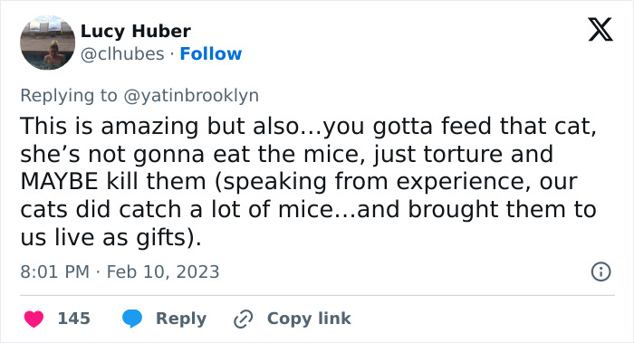 Woman Shares A Hilarious Conversation Between Her And Her Landlord Who Hired A Cat As Pest Control