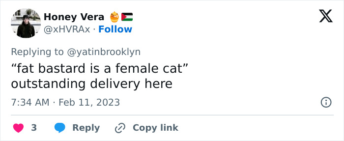 Woman Shares A Hilarious Conversation Between Her And Her Landlord Who Hired A Cat As Pest Control