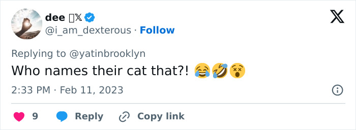 Woman Shares A Hilarious Conversation Between Her And Her Landlord Who Hired A Cat As Pest Control