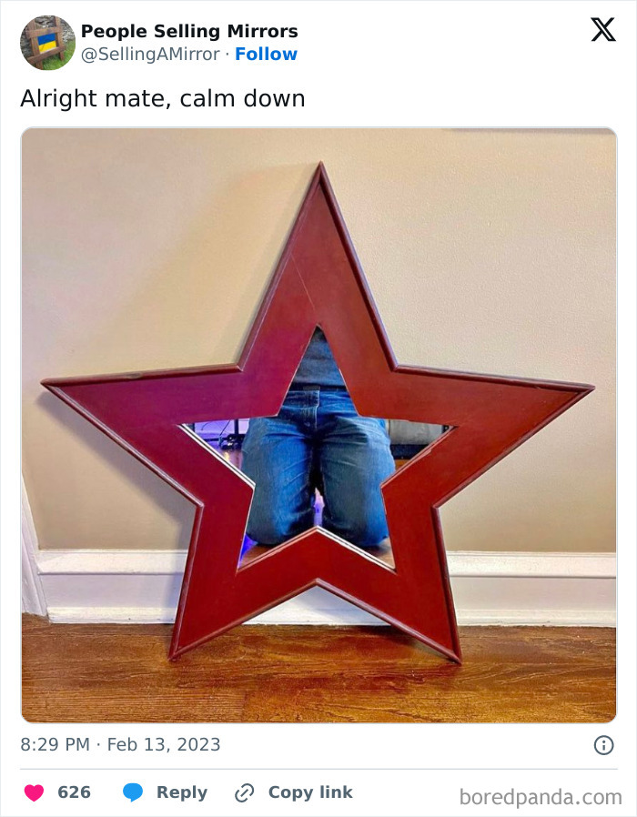 People-Selling-Mirrors-Funny-Pics