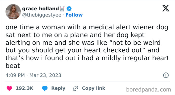 “Medical Alert Wiener Dog” Is The Best Combination Of Words I’ve Seen Today