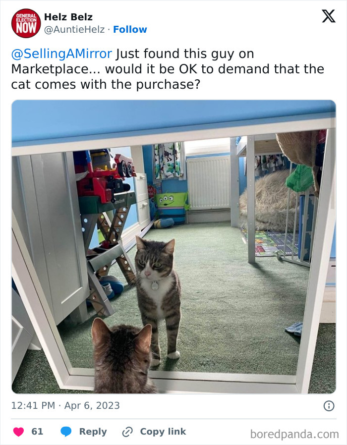 People-Selling-Mirrors-Funny-Pics