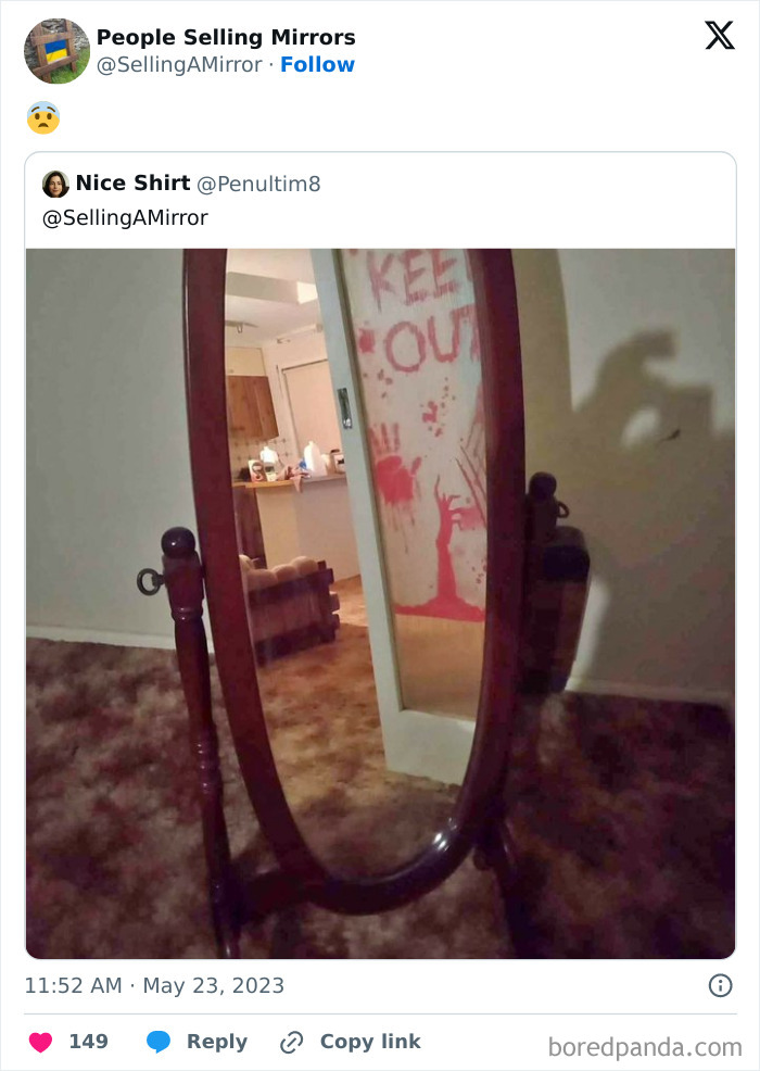 People-Selling-Mirrors-Funny-Pics