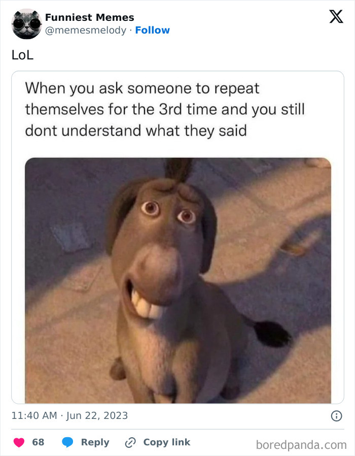 Funny-Random-Relatable-Memes-Memesmelody