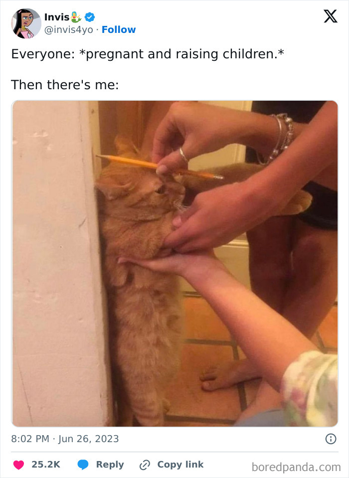 A person measures a cute cat against a wall with a pencil, humorously posing like a child's growth chart.