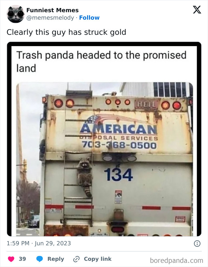 Funny-Random-Relatable-Memes-Memesmelody