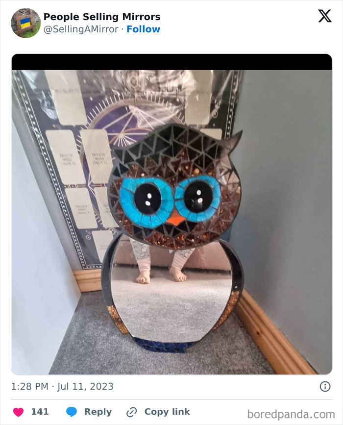 People-Selling-Mirrors-Funny-Pics