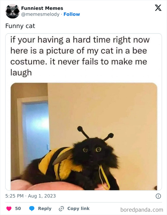 Funny-Random-Relatable-Memes-Memesmelody