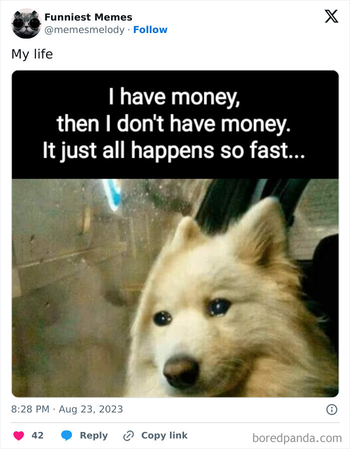 Funny-Random-Relatable-Memes-Memesmelody