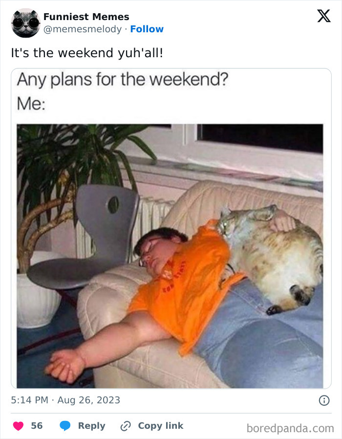 Funny-Random-Relatable-Memes-Memesmelody