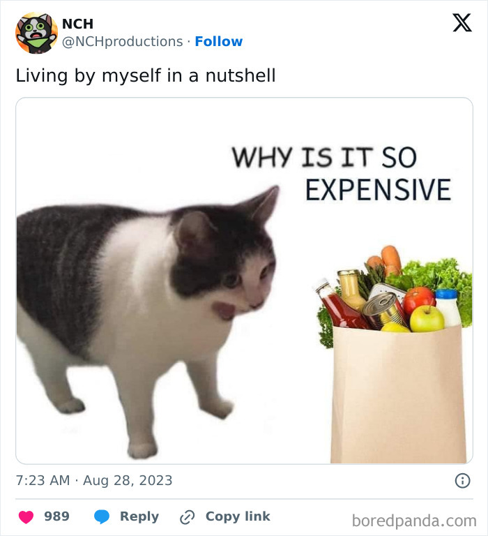 Living-Alone-Funny-Tweets