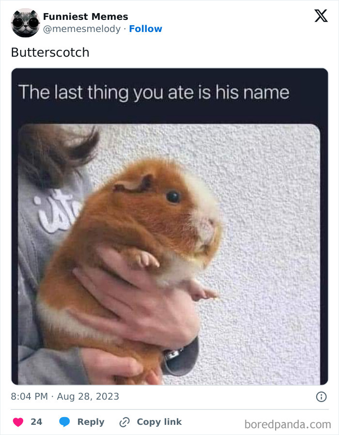 Funny-Random-Relatable-Memes-Memesmelody