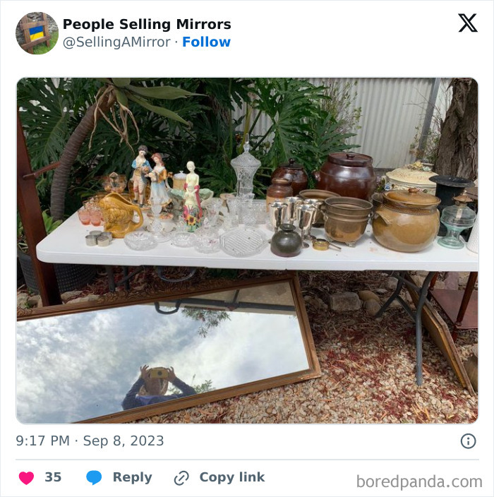 People-Selling-Mirrors-Funny-Pics