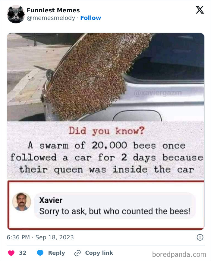 Funny-Random-Relatable-Memes-Memesmelody