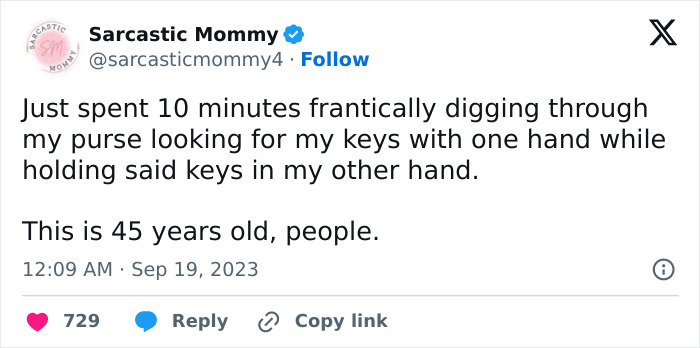 Hilarious-Parenting-Sarcastic-Mommy