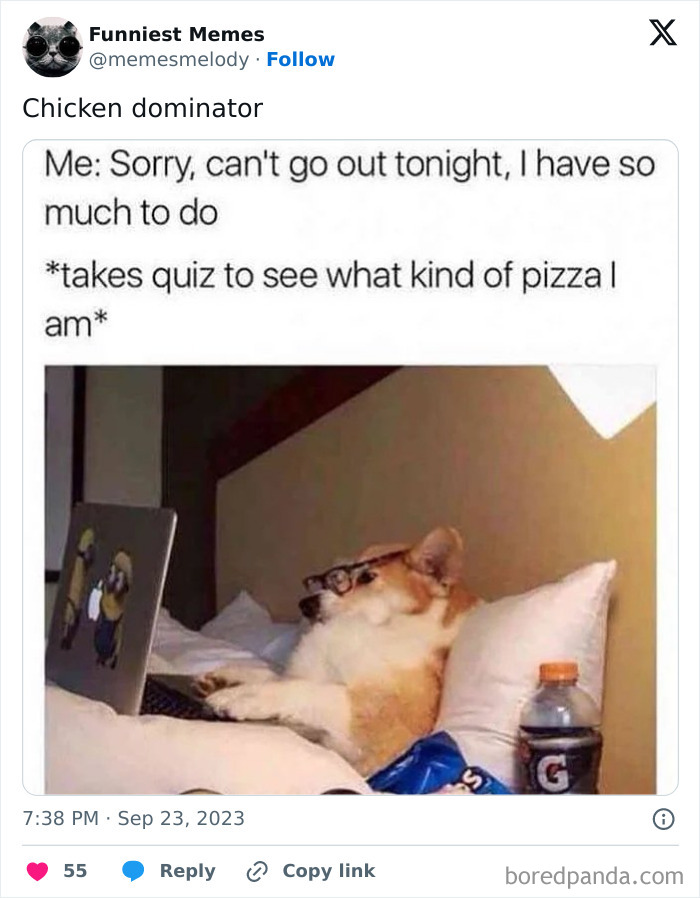 Funny-Random-Relatable-Memes-Memesmelody