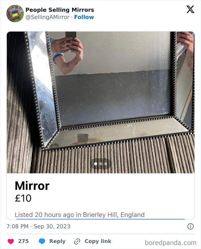 People-Selling-Mirrors-Funny-Pics