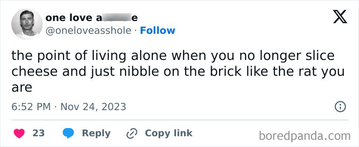 Living-Alone-Funny-Tweets