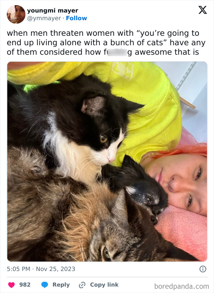 Living-Alone-Funny-Tweets