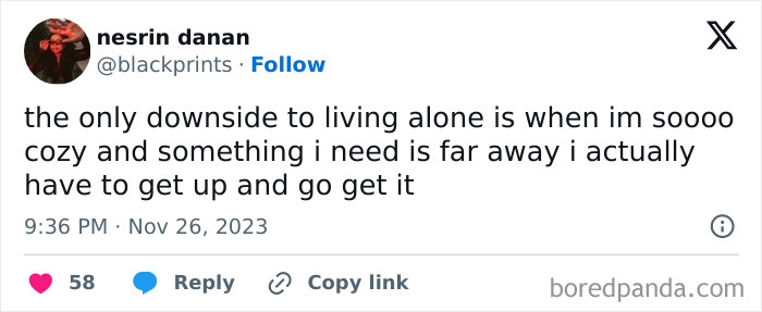 Living-Alone-Funny-Tweets