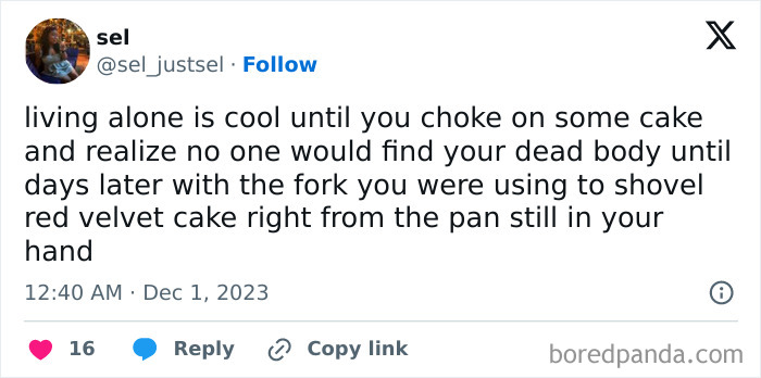 Living-Alone-Funny-Tweets