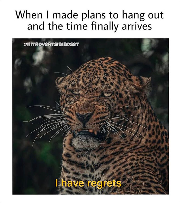 Funny-Depressed-Antisocial-Memes