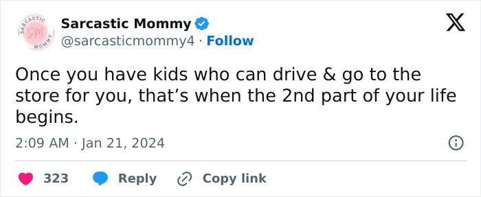 Hilarious-Parenting-Sarcastic-Mommy