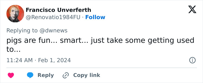 Pigs At This Cafe In Tokyo Are Called &ldquo;Buta-San,&rdquo; And They Trot Around Looking For Pets