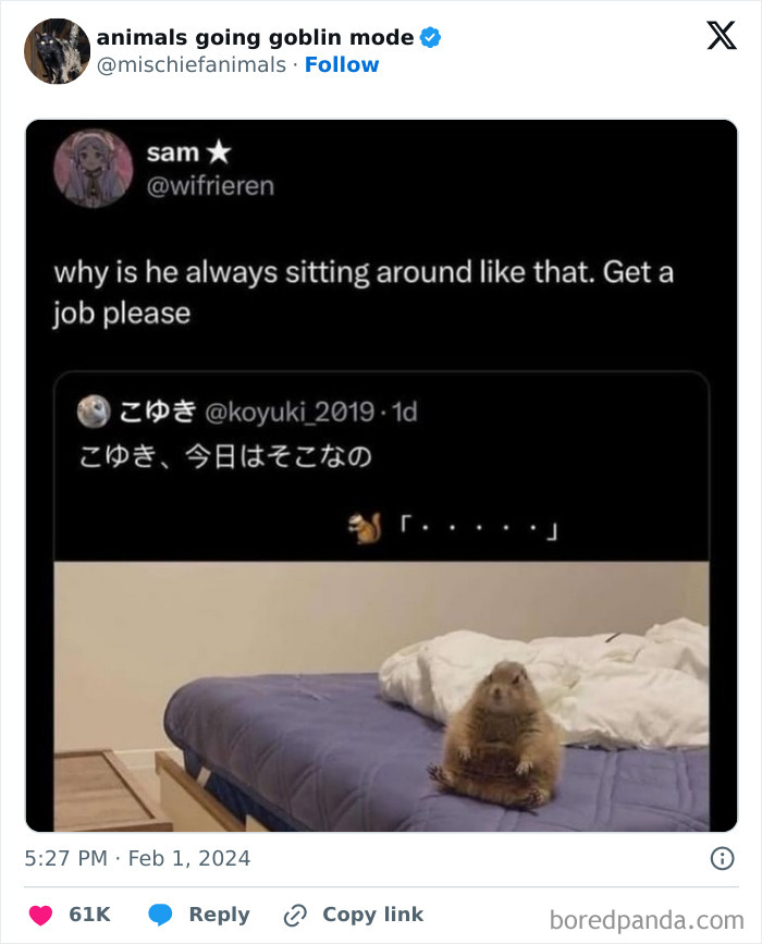 Animals-Going-Goblin-Mode-Pics