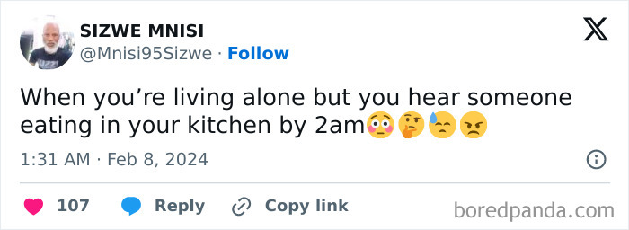 Living-Alone-Funny-Tweets