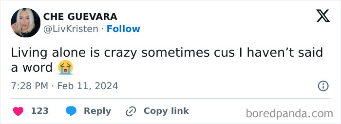 Living-Alone-Funny-Tweets