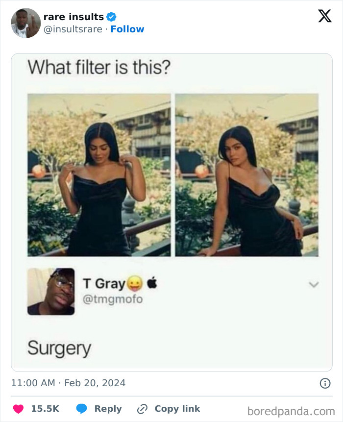 Savage-Rare-Insults-Twitter