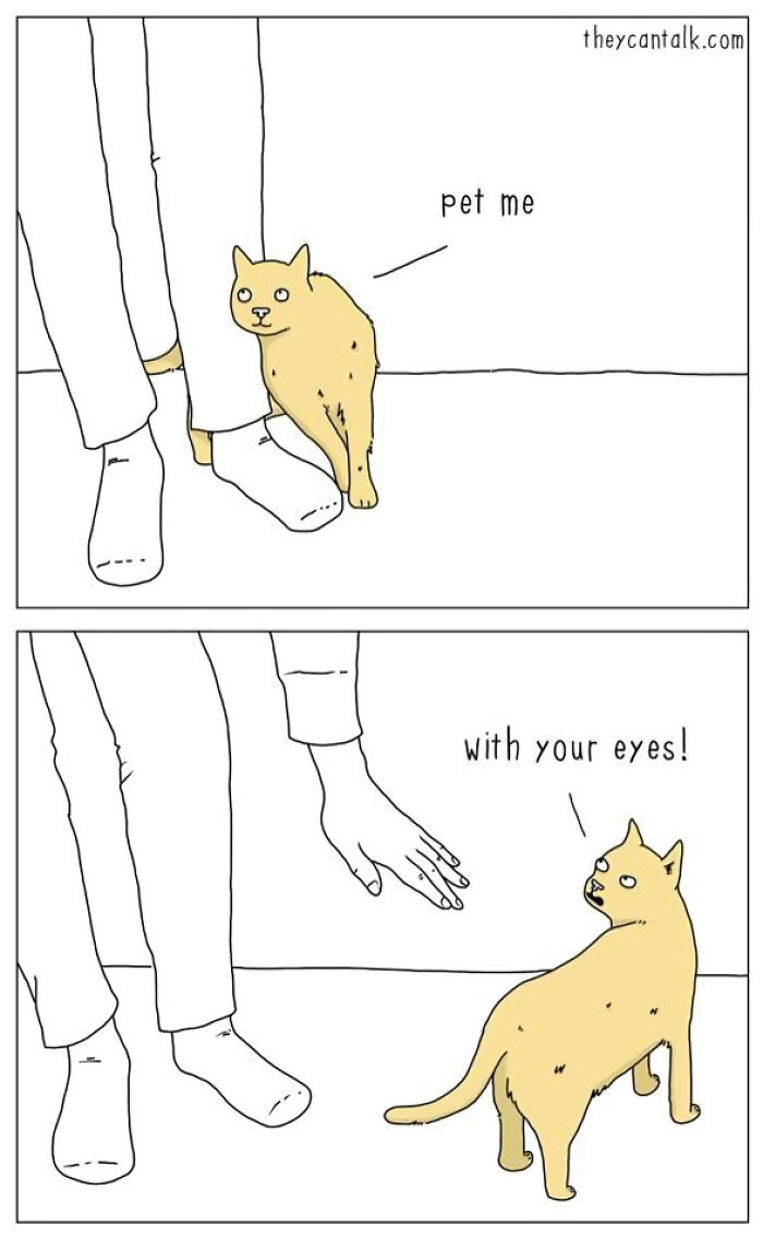 Cartoon cat asks to be petted with eyes; funny cat meme.