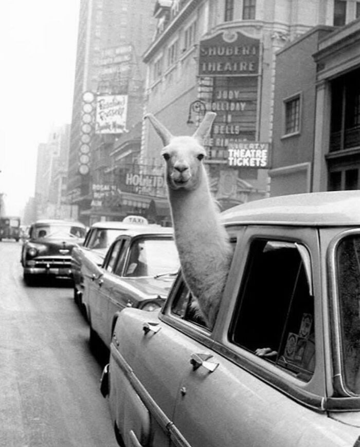 The 57 Best Black And White Photos According To The Street Photographers Foundation Awards