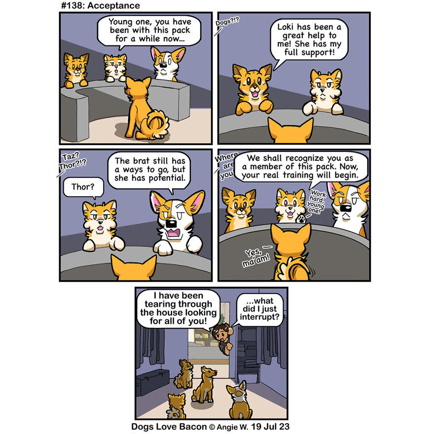 I Draw Comics About The Lives Of Four Rescue Dogs!