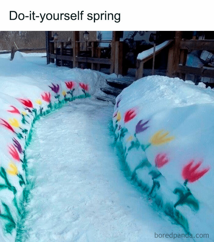 When You’re Bored Of Snow ☃️