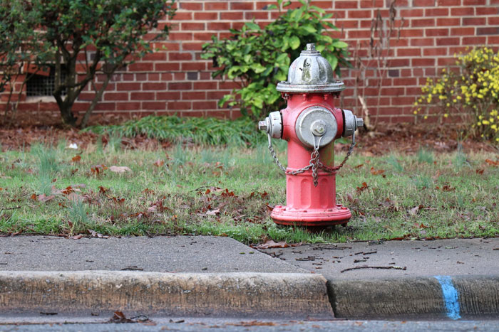 Red fire hydrant on grass near sidewalk in front of brick wall, illustrating a fun fact from weird facts online thread.