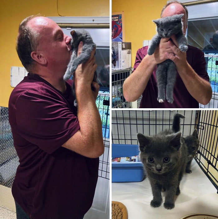 Sugar The Kitten Loved Spca Staff Member Glenn So Much And She Would Always Cry For His Attention. So, He Had To Take Her Home!