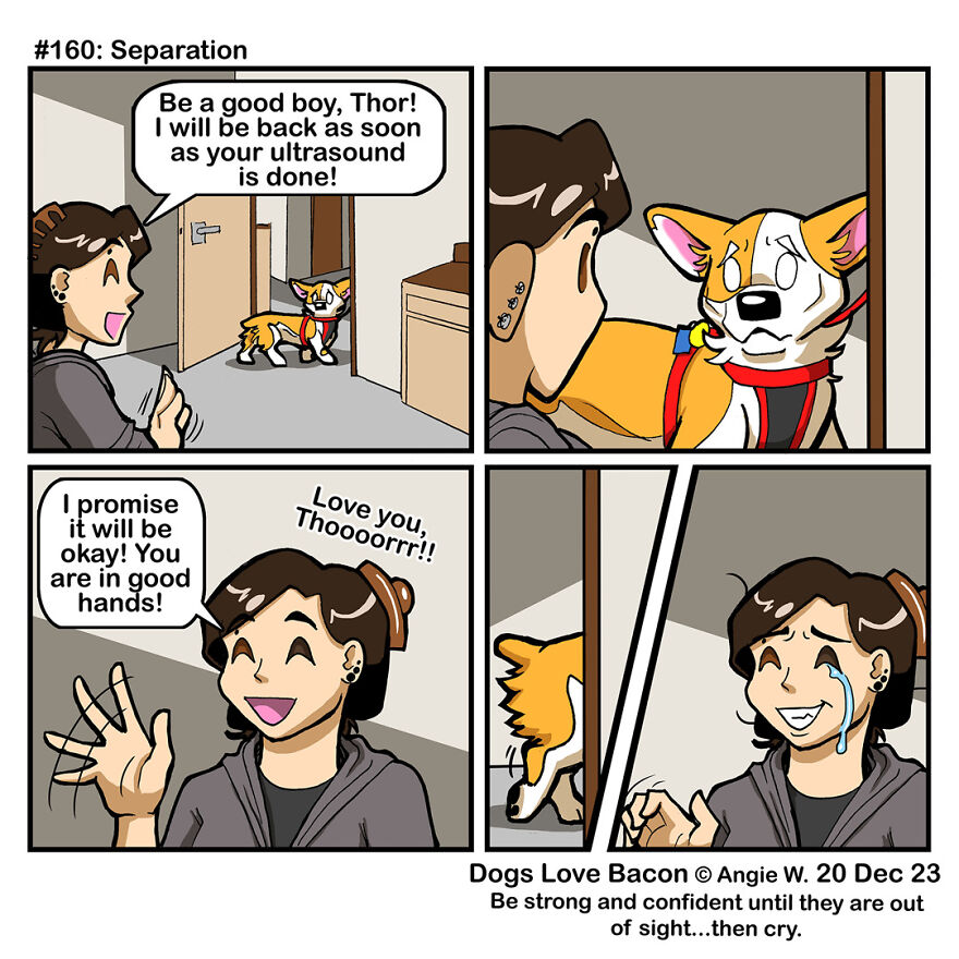 I Draw Comics About The Lives Of Four Rescue Dogs!