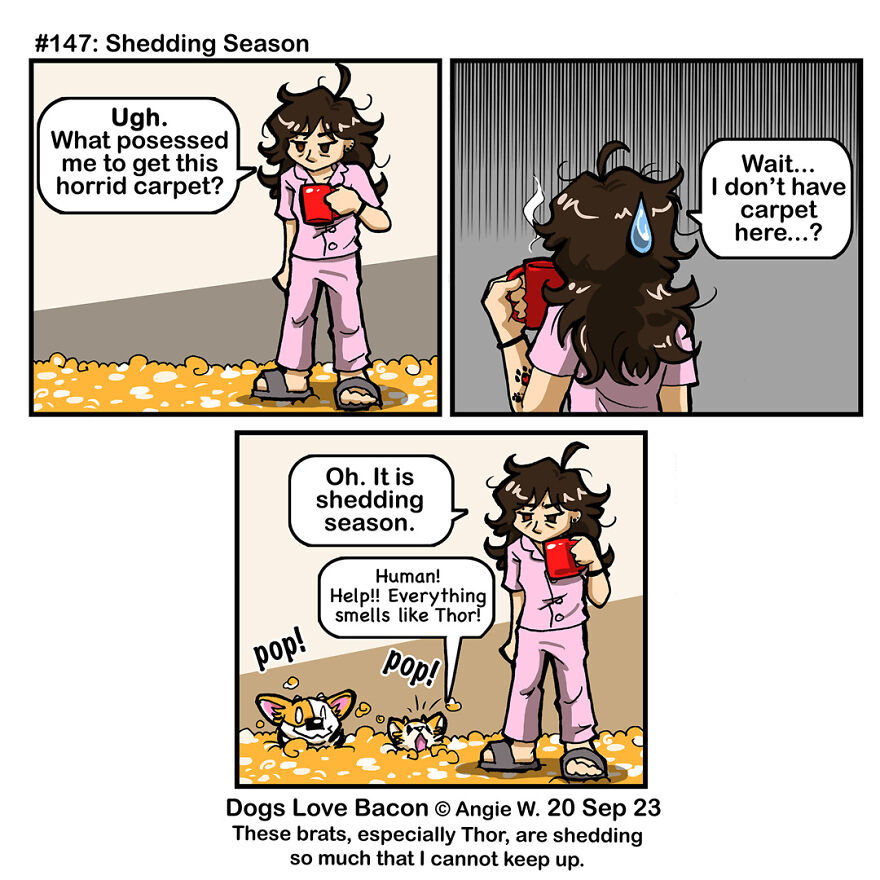 I Draw Comics About The Lives Of Four Rescue Dogs!
