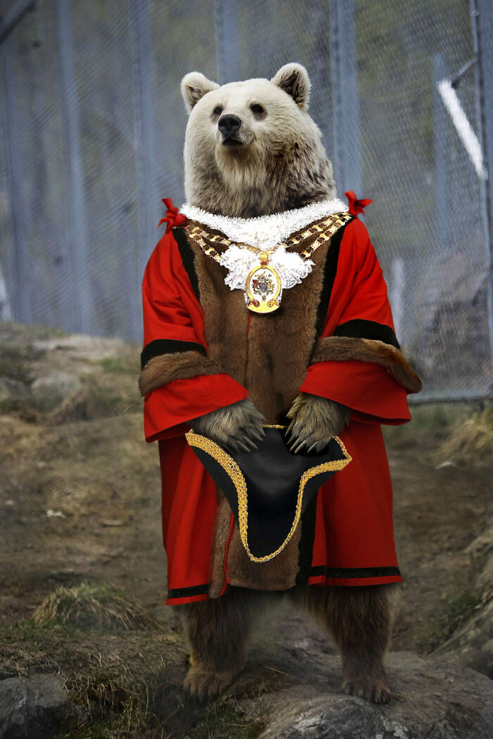 These Designers Were Challenged To Use Photoshop To Dress Animals (30 Pics)