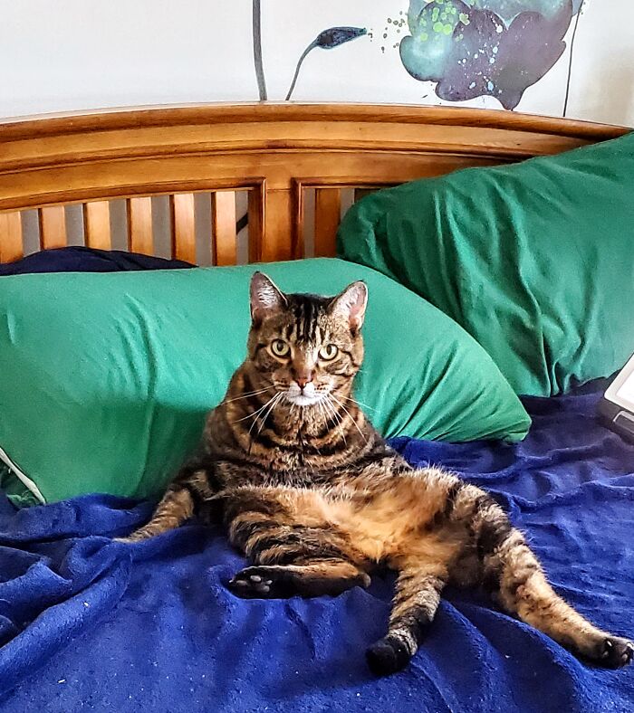 I Thought That Was Where I Slept. Jasper Disagreed