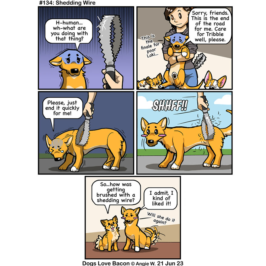 I Draw Comics About The Lives Of Four Rescue Dogs!