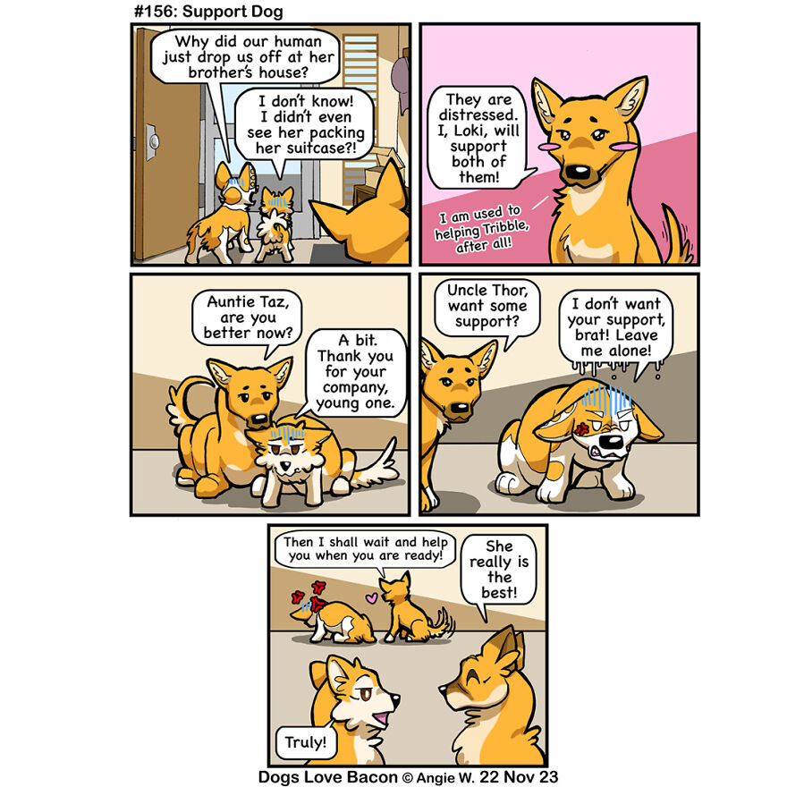 I Draw Comics About The Lives Of Four Rescue Dogs!