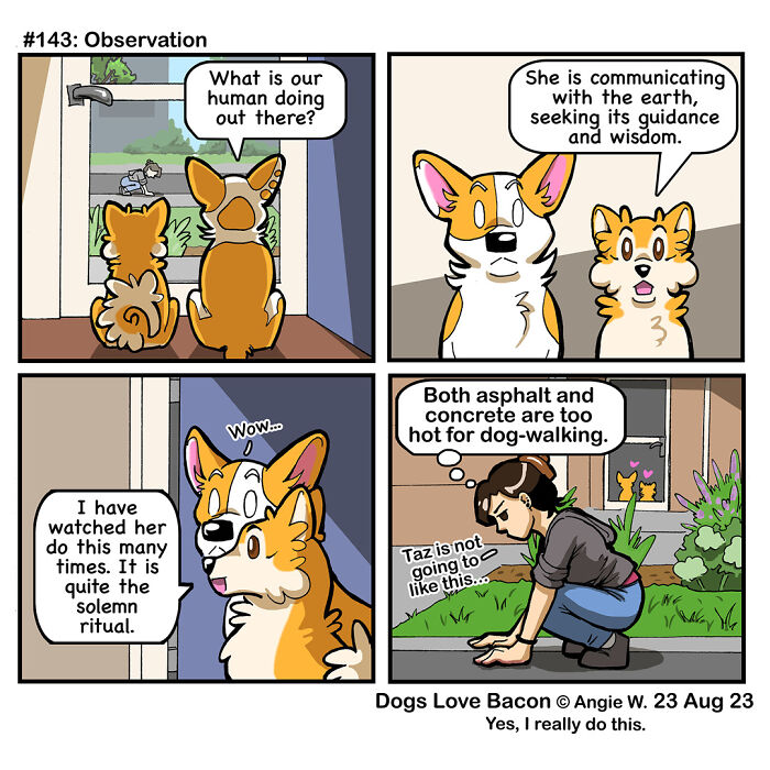 Comic of dogs observing their owner, highlighting the funny reality of being a dog owner with playful and relatable moments.