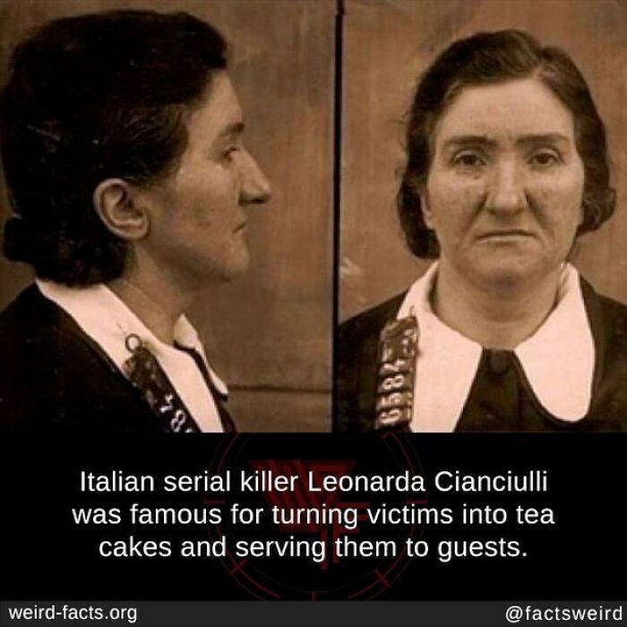 I Always Wonder How A Human Tastes