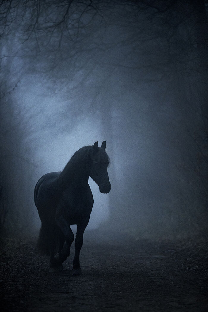 "Awakening" By Magdalena Stockschläder