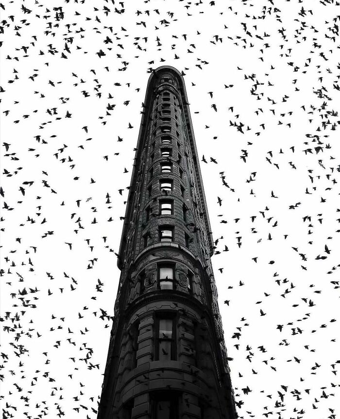 The 57 Best Black And White Photos According To The Street Photographers Foundation Awards