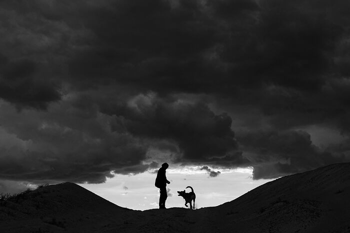 "A Friend Of Mine..." By Taida Tarabula