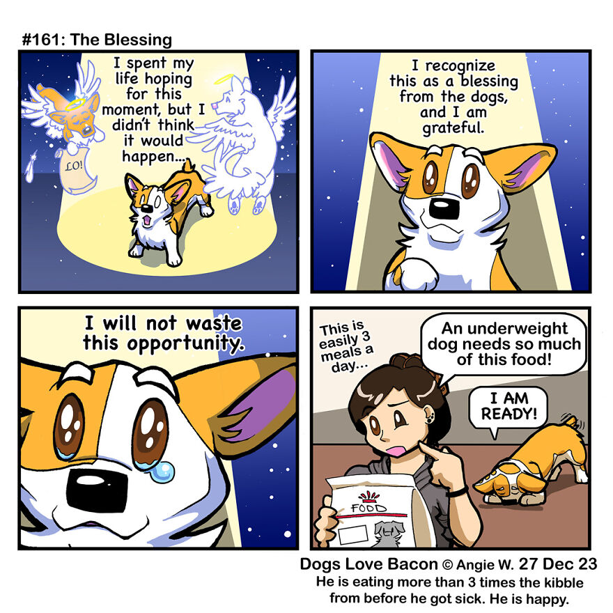 I Draw Comics About The Lives Of Four Rescue Dogs!